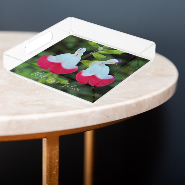 Red and White Hot Lips Salvia Floral Acrylic Tray (In Situ Angled)