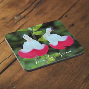 Red and White Hot Lips Salvia Floral Beverage Coaster