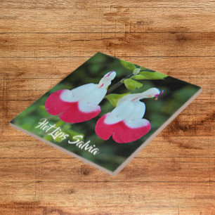 Red and White Hot Lips Salvia Floral Ceramic Tile