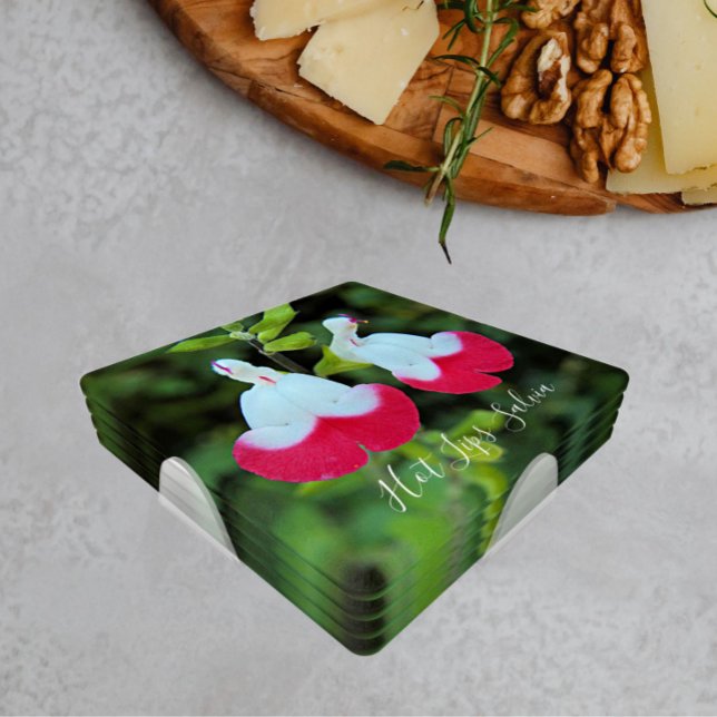 Red and White Hot Lips Salvia Floral Coaster Set (In Situ Set)