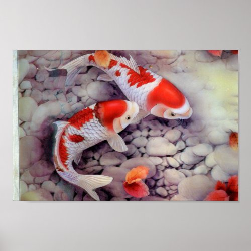 Red and White Koi Fish Pond Poster