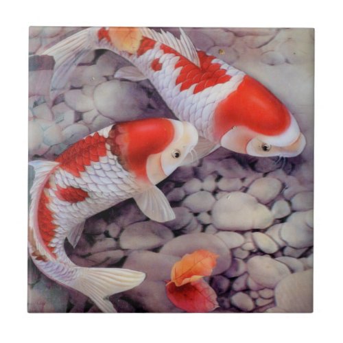 Red and White Koi Fish Pond Tile