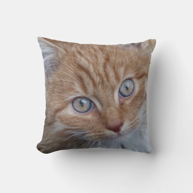 Red and White, Long-Haired, Tabby Cat Face Throw Pillow (Front)