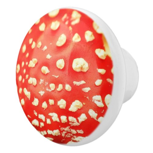 Red and White Mushroom Toadstool Photography Ceramic Knob