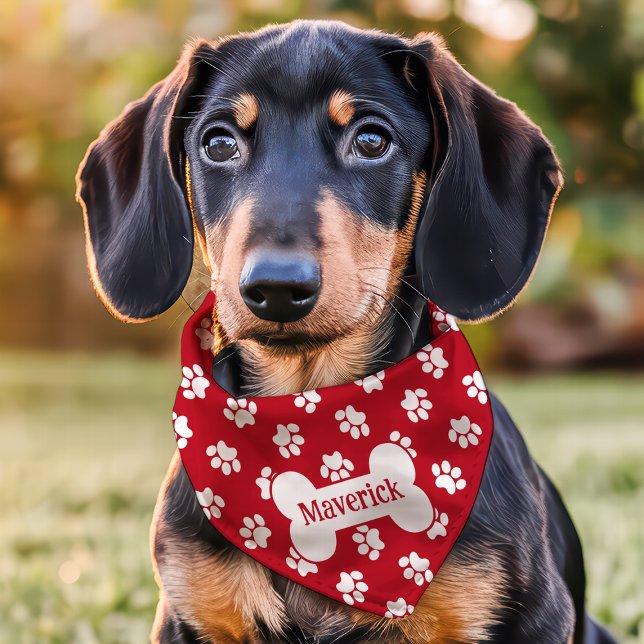 Red And White Paw Print Dog Bone Custom Name Pet Bandana Collar (Creator Uploaded)