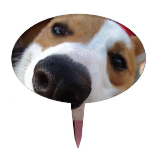 Red and White Pembroke Welsh Corgi Cake Topper