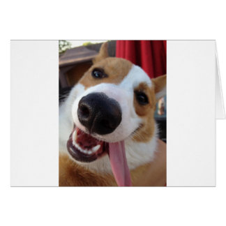 Red and White Pembroke Welsh Corgi Cards