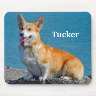 Red and White Pembroke Welsh Corgi Puppy Dog Mouse Pad