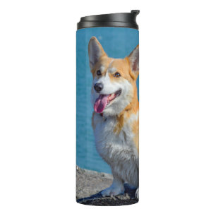 Red and White Pembroke Welsh Corgi Puppy Dog Thermal Tumbler