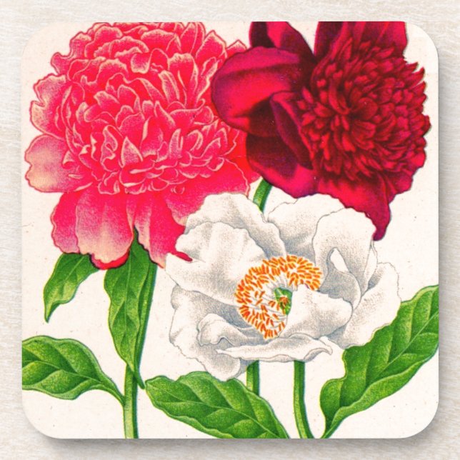 red and white peony coaster (Front)