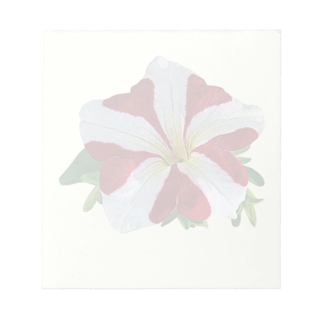 Red and White Petunia Notepad (Front)