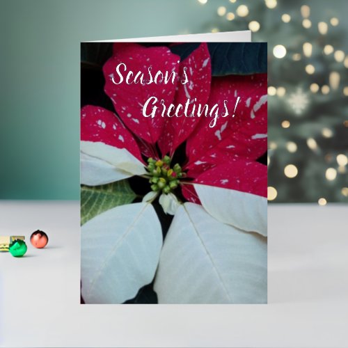 Red and White Poinsettia Floral Foil Holiday Card
