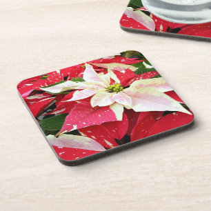 Red and White Poinsettia Holiday Beverage Coaster