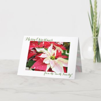 Red And White Poinsettia Holiday Christmas Card by CreativeCardDesign at Zazzle