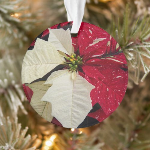 Red and White Poinsettia Holiday Ornament
