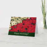 Red and White Poinsettias Holiday Card