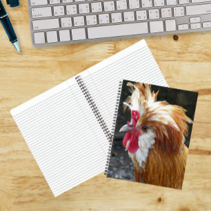 Red and White Polish Chicken Notebook