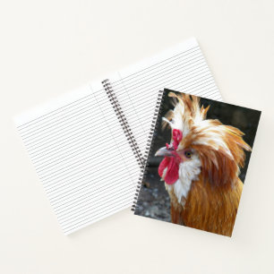 Red and White Polish Chicken Notebook