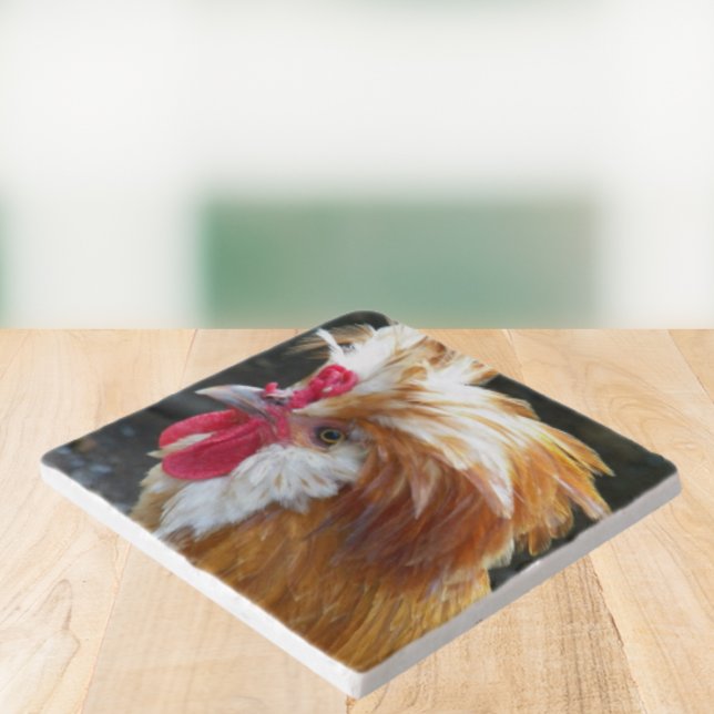 Red and White Polish Chicken Trivet (In Situ Angled)