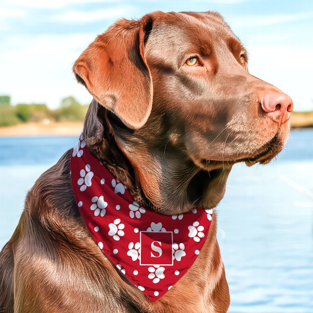 Red And White Polka Dot Paw Print Monogram Pet Bandana Collar (Creator Uploaded)