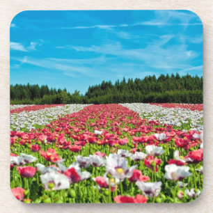 Red and White Poppy Field Beverage Coaster