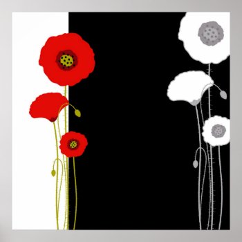 Red And White Poppy Poster by hunnymarsh at Zazzle