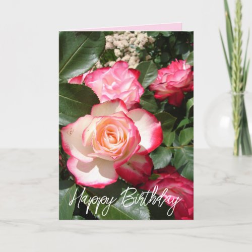Red and White Rose Flower Floral Roses Card