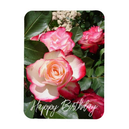 Red and White Rose Flower Floral Roses Card Magnet