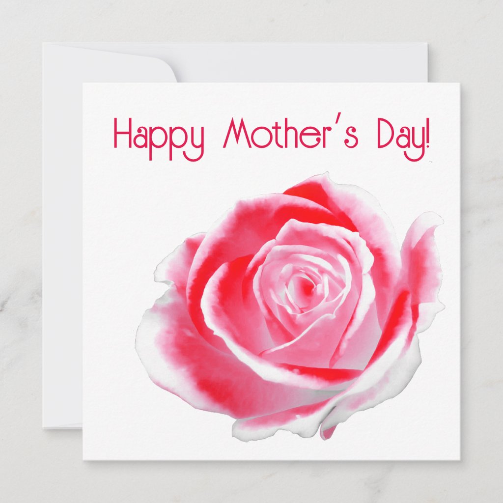 Red and White rose for Mother’s Day
