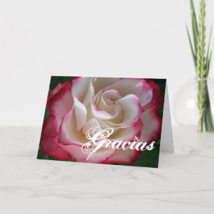 Red and White Rose Gracias Letterpress Thank You Card