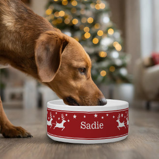 Red And White Santa Sleigh And Stars Christmas Pet Bowl
