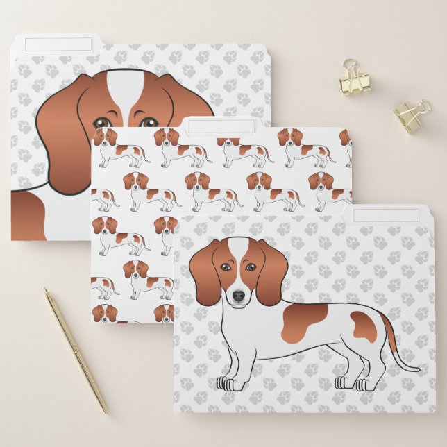 Red And White Short Hair Dachshund Cartoon Dog File Folder (Set)