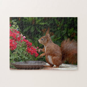 Red and White Squirrel with Red Flower Bush Jigsaw Puzzle