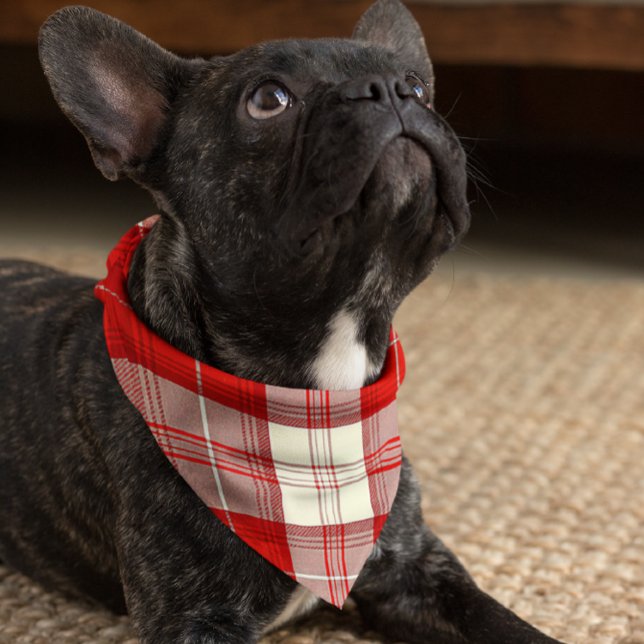 red and white tartan    bandana (Creator Uploaded)