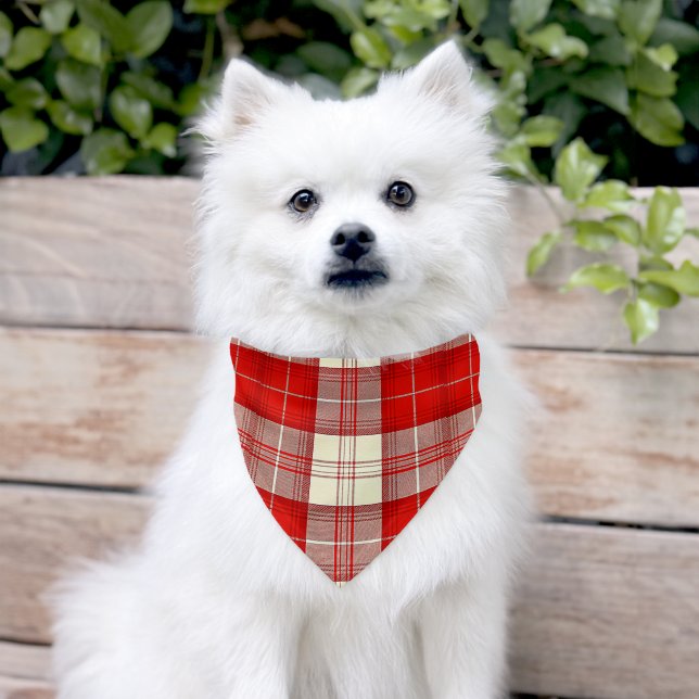 red and white tartan    pet bandana collar (Dog)
