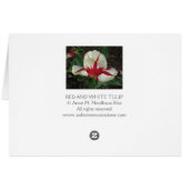 Red and White Tulip Cards (Back Horizontal)