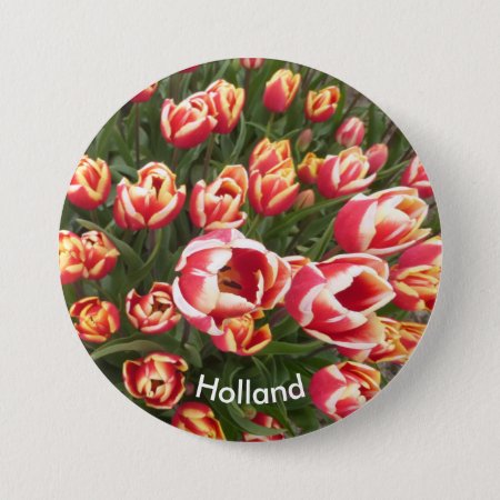 Red And White Tulip Field Holland Button