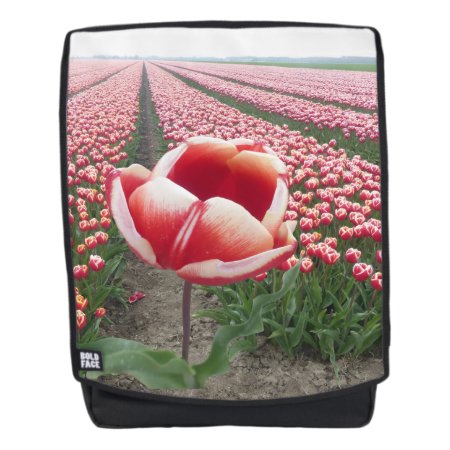 Red And White Tulip On Tulips Field Adult Backpack