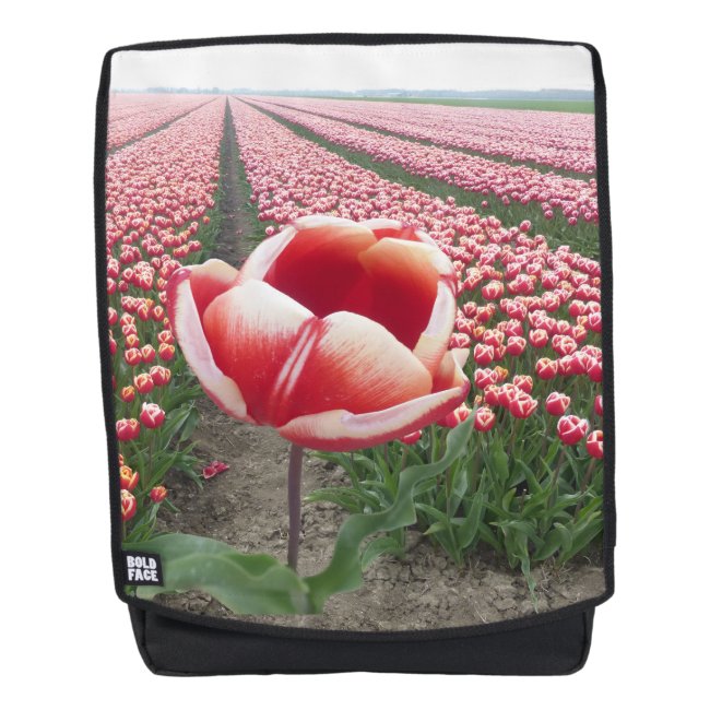 Red and White Tulip on Tulips Field Adult Backpack
