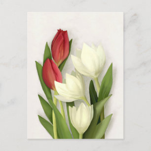 Red and White Tulips Floral Postcard