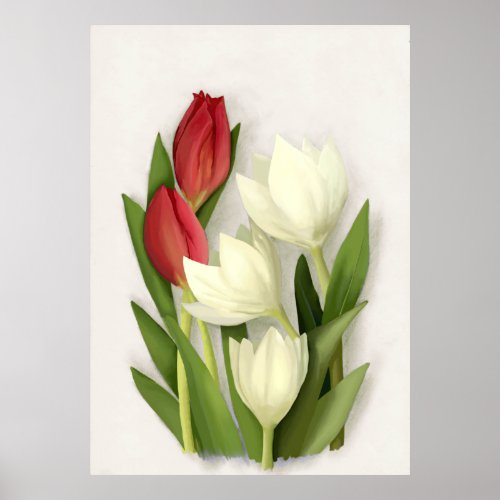 Red and White Tulips Floral  Poster