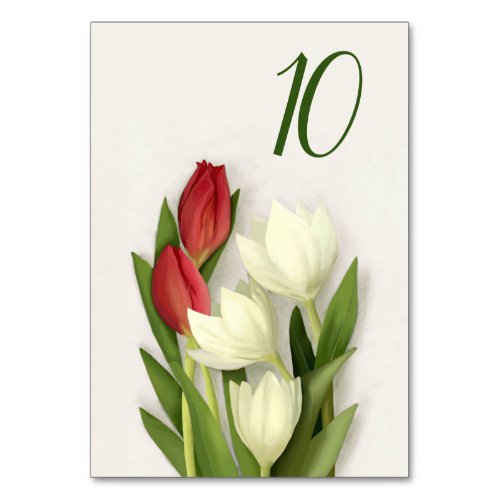 Red and White Tulips Floral Table Number