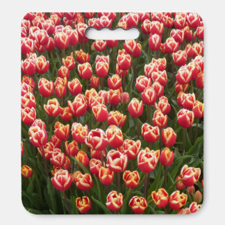 Red and White Tulips Seat Cushion