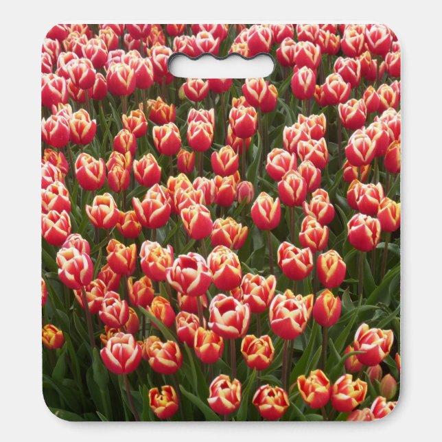 Red and White Tulips Seat Cushion (Front Vertical)
