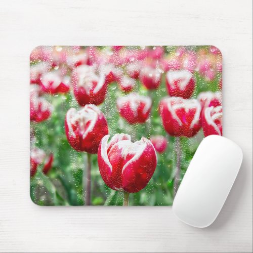 Red and White Tulips With Raindrops Mouse Pad