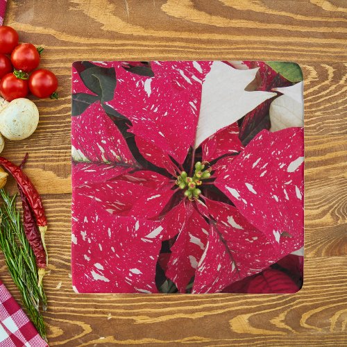 Red and White Variegated Poinsettia Holiday Trivet