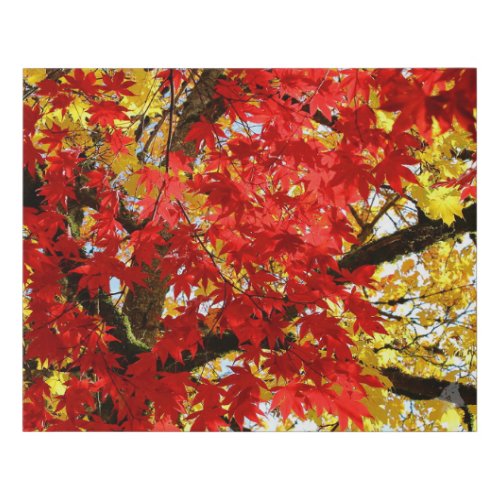 Red and Yellow Autumnal Sky Faux Canvas Print
