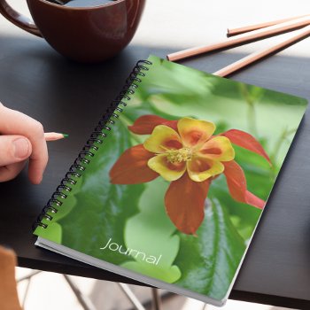 Red And Yellow Bicolor Columbine Floral Notebook by northwestphotos at Zazzle