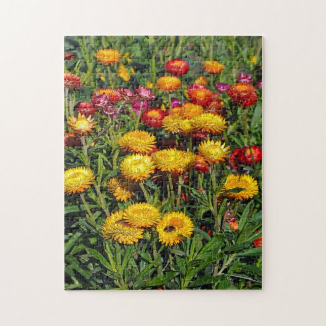 Red and yellow button flowers jigsaw puzzle (Vertical)