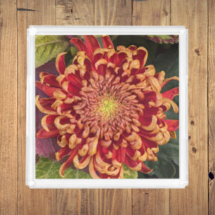 Red and Yellow Chrysanthemum Floral Acrylic Tray
